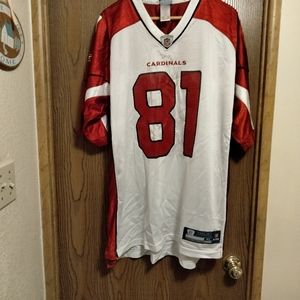Official NFL Phoenix Cardinal's jersey